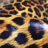 Umetno usnje Jaguar